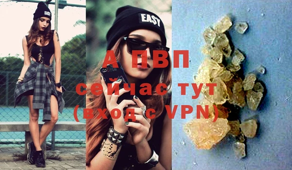 PSILOCYBIN Липки