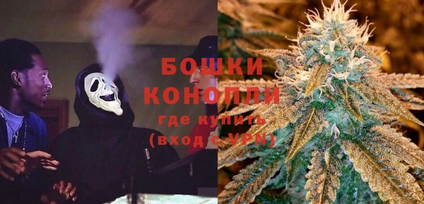 PSILOCYBIN Липки