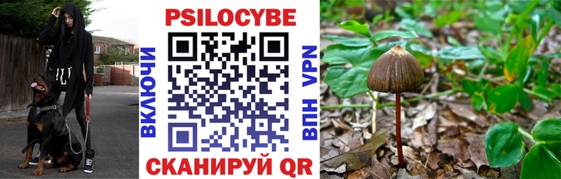 Псилоцибиновые грибы прущие грибы  Купить где  Суоярви 